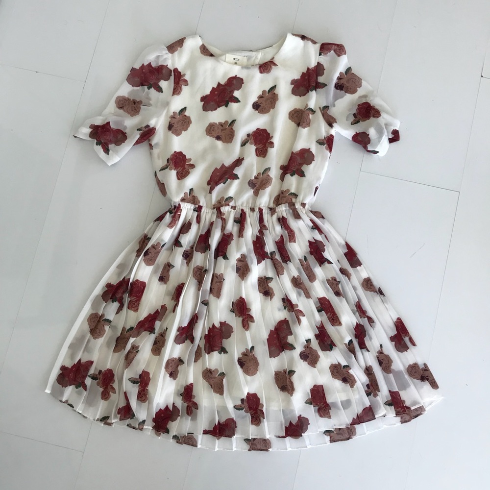 Pins and needles floral pleated dress